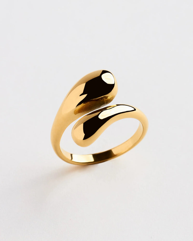 Anillo Inea